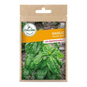 Basilic grand vert 2,50g - Caillard