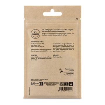 Ciboulette - Caillard - 1,5 g