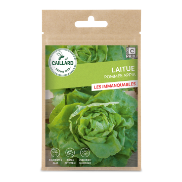 Laitue appia - Caillard