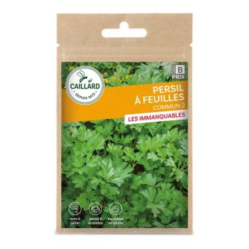 Persil commun - Caillard - 5 g