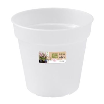 Pot Green Basics Orchidée - Elho - 17 cm - Transparent
