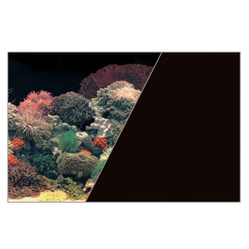 Poster fond décor découpé Corail/noir 80 x 50 cm - Zolux