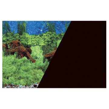 Poster fond décor découpé Racine/noir 60 x 40 cm - Zolux