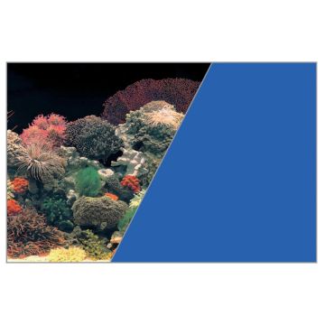 Poster fond décor découpé Corail/bleu 60 x 40 cm - Zolux