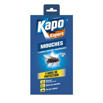 Anti-mouches - Kapo - Bandes adhésives transparentes x 12