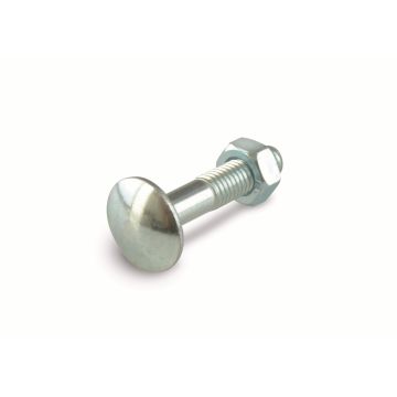 Boulon TRCC - Tête ronde - Collet carré - Acier zingué - M8 x 120 mm - 20 pièces