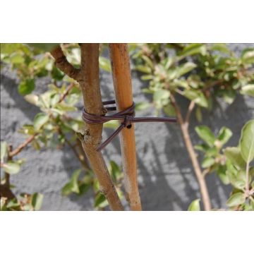 Lien souple Tubefix - Nortene - 40 m