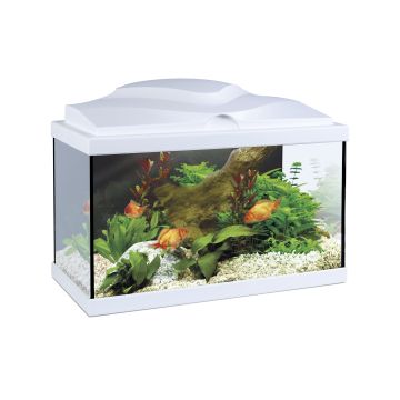 Aquarium Ciano 20 Light White