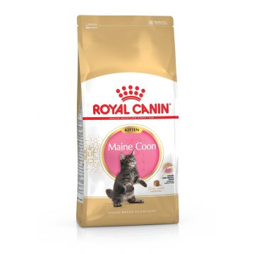 Croquettes pour chaton - Royal Canin - Kitten Maine Coon - 4 kg