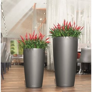 Pot Rondo premium D 32 kit complet - Lechuza - Anthracite métallisé