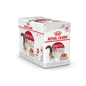Boîte Instinctive Gelée - Royal Canin - 12 x 85 g