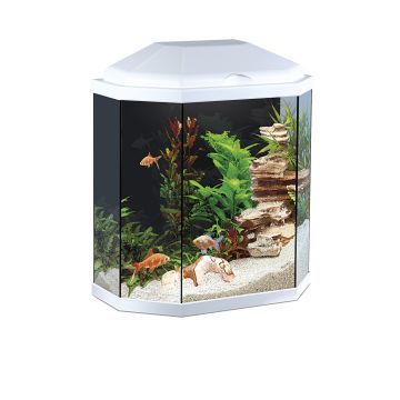 Aquarium Ciano 30 Light White