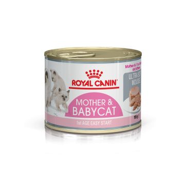 Boîte Mother & Babycat Mousse - Royal Canin - 195 g