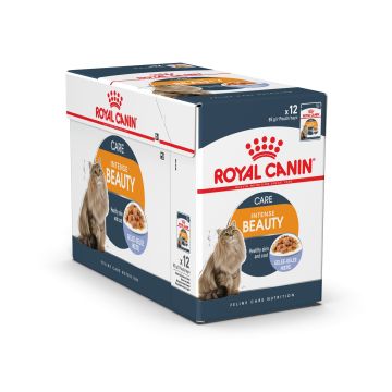 Boîte Intense Beauty Gelée - Royal Canin - 12 x 85 g