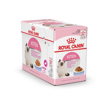 Boîte Kitten Gelée - Royal Canin - 12 x 85 g