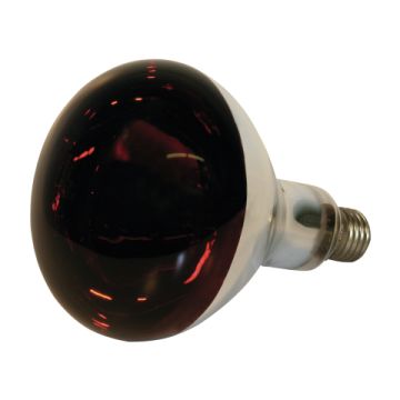 Lampe infrarouge en verre trempé - 250 W - Rouge