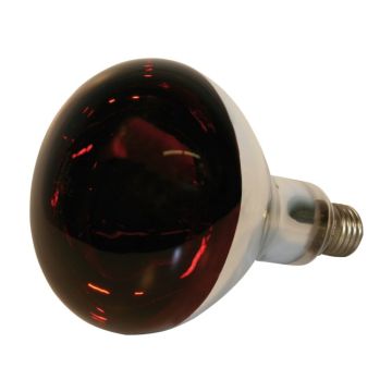 Lampe chauffante - Kerbl - Pour porcs et volailles - Rouge  - 150 Watts