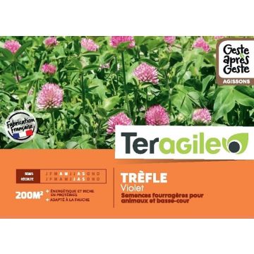 Trèfle violet 500gr - Teragile