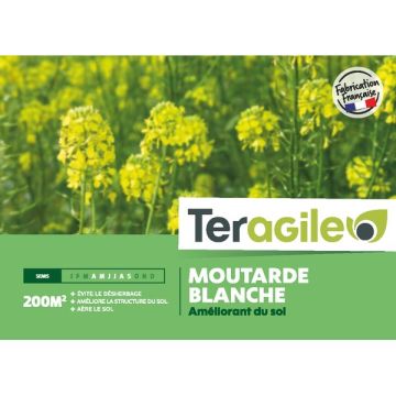 Moutarde blanche 500gr - Teragile
