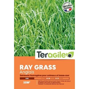 Ray grass anglais 500gr - Teragile