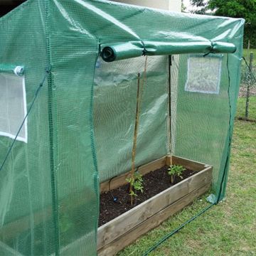 Serre à tomates