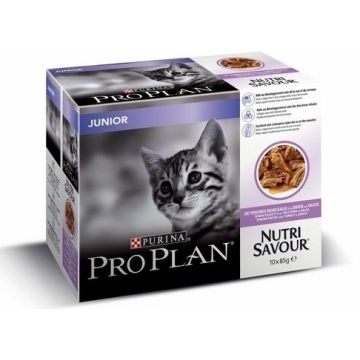Effilés en sauce pour chaton Junior Nutrisav - Proplan - dinde - 10x85 gr