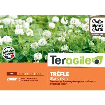 Trèfle blanc nain 500gr - Teragile