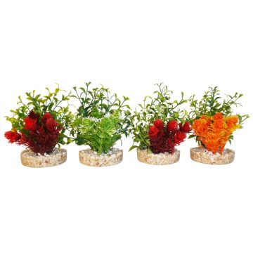Déco Magic Nano green - Sydeco - 10 cm