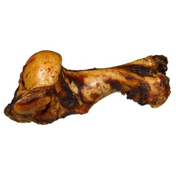 Os de Mammouth Dino - Bubimex - 1,8 kg