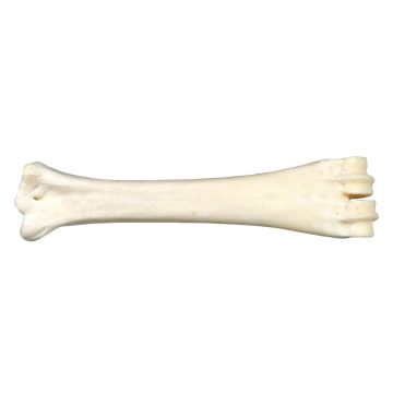 Os au calcium à mâcher - Bubimex - 22 cm
