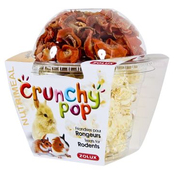 Crunchy Pop carotte 43 g Zolux - Friandise pour rongeurs