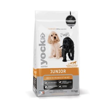 Croquettes Yock Nutrition Junior  - 10 kg