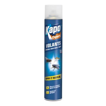 Aérosol contre tous les insectes volants - Kapo - 400 ml