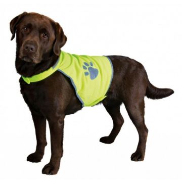 Gilet de sécurité - Safer life - Taille L