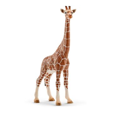 Figurine Girafe femelle - Schleich - 12.7 x 4.4 x 17 cm