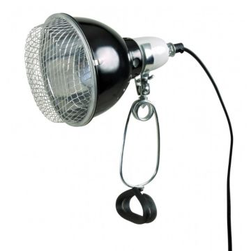 Lampe réflecteur à pince - Reptiland - 100 W
