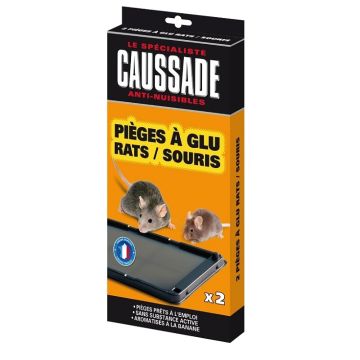 Pièges à glu ratssouris - Caussade - x2