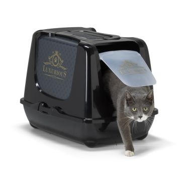 Maison de toilette Luxurious