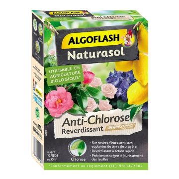 Anti-chlorose reverdissant - Algoflash - 100 g
