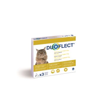 Duoflect x 3 pour chat de 1 à 5 kg -  Traitement contre les puces et les tiques