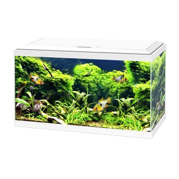 Aquarium 60 LED équipé - Ciano - Blanc