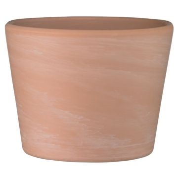 Cache pot Terre cuite - Horticash - naturel - Ø 6 cm