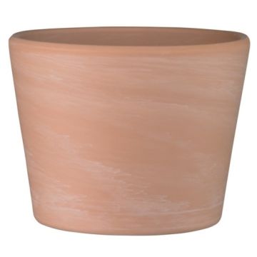 Cache pot Terre cuite - Horticash - naturel - Ø 9 cm