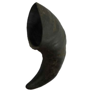 FRIANDISES CHIEN - CORNE DE BUFFLE - S