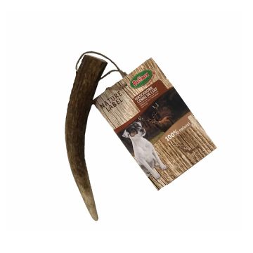 CORNE DE CERF - 50/80G - BUBIMEX