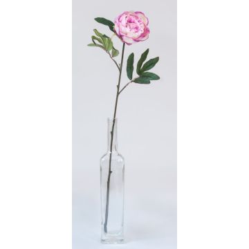Pivoine - Arche Diffusion - Lavande - 65 cm