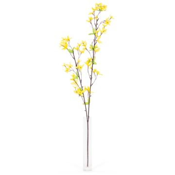 Forsythia - Arche Diffusion - Jaune - 82 cm