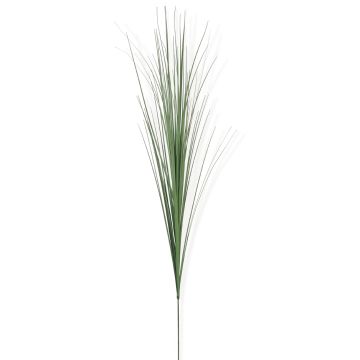Isolepsis - Arche Diffusion - Vert - 1 m