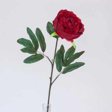 Pivoine - Arche Diffusion - Rouge - 65 cm