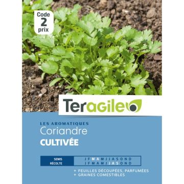 Coriandre cultivée - Graines - Teragile